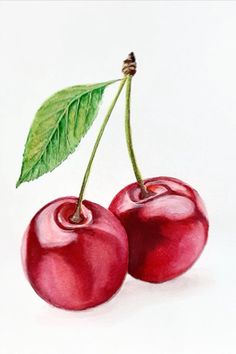 two cherries with a green leaf on top are shown in color pencil and watercolor