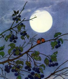 a ladybug sitting on the branch of a tree with berries in front of a full moon