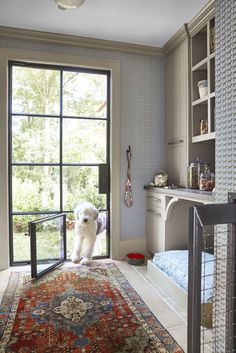 a small white dog standing in the doorway of a bedroom with a rug on the floor