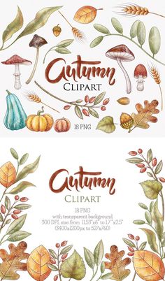 watercolor autumn clipart with leaves, mushrooms and acorns