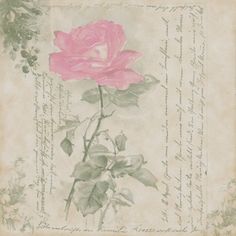 a pink rose sitting on top of a piece of paper with writing in it's corner