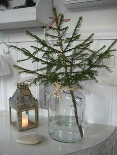 a small pine tree in a glass jar on a table with a candle and lantern