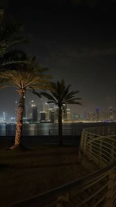 palm trees in front of the city skyline at night