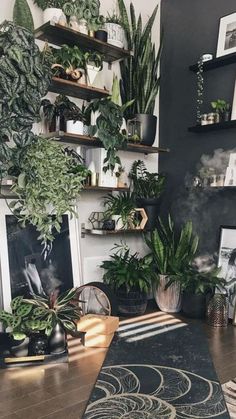 a living room filled with lots of plants and pictures on the wall next to a fireplace