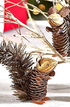 two pine cones sitting on top of a branch next to some branches with nuts in them