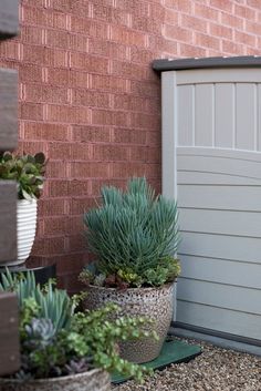 some plants are sitting in front of a garage door