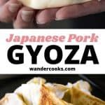 there is an image of japanese pork gyoza