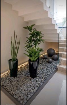 there are two plants in black vases on the ground next to some rocks and stones