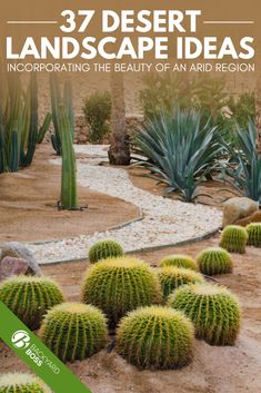 the cover of 37 desert landscape ideas incorporating the beauty of an arid region, with cacti and succulents