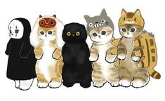 a group of cats standing next to each other in front of a white background with an orange and black cat