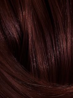 Plum Brown Hair, Perfect Brunette, Hair 101, Cherry Wine