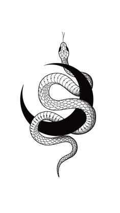 Gotik Tattoo, 16 Tattoo, Snake Tattoo Design, Tatuaje A Color, Tattoo Design Book, White Drawing