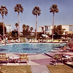 an outdoor swimming pool with lounge chairs and palm trees