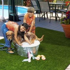 three women and two dogs playing in a tub with water on the lawn next to a swimming pool