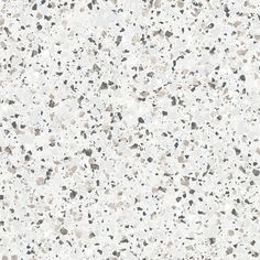 Terrazzo Wallpaper in Grey/Mica from the Evergreen Collection by Galerie Wallcoverings Silver Grey Wallpaper, Terrazzo Wallpaper, Terrazzo Texture, Terrazzo Marble, Beauty Of The World, Water Printing, Drops Patterns, Tactile Texture, Wallpaper Designs