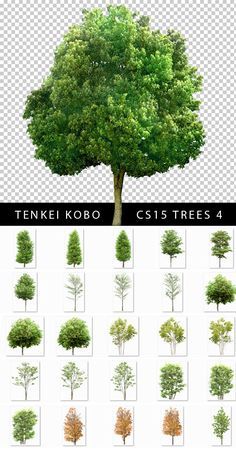 an image of different types of trees in various sizes and colors, with the text tenkie kobo cs1s trees 4