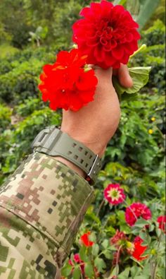 a person in camouflage holding two red flowers