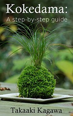 the book cover for kokedama a step - by - step guide, featuring a small green plant on a plate