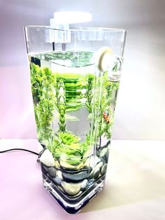 a glass container filled with water and plants on top of a white table next to a light