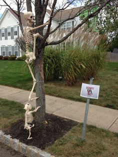 a tree with skeletons hanging from it in front of a house