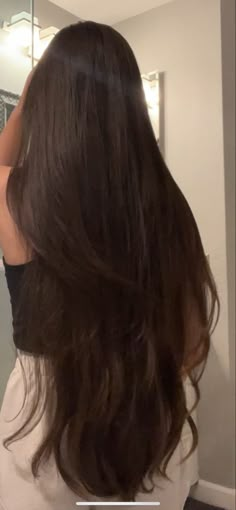 Long Shiny Hair, Long Healthy Hair, Rory Gilmore, Beautiful Long Hair, Silky Hair, Dream Hair, Shiny Hair, Aesthetic Hair, Brushing