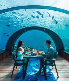 two people sitting at a table in front of an aquarium