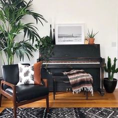 a living room with a black piano and potted plants on the wall next to it