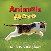 an image of a cat that is running in the grass with words animals move on it