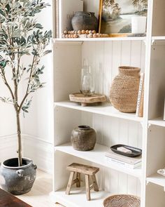 a white bookcase filled with lots of books and vases next to a potted tree