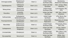 the different types of vitamins that are in each type of body and their corresponding names