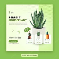 a flyer for a houseplant company with plants in pots and the words perfect houseplant on it