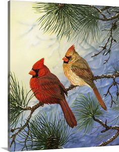 two birds sitting on top of a pine tree branch