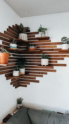 a living room filled with furniture and lots of potted plants on wooden shelving