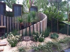 an outdoor garden area with plants and trees in the background, along side a wooden fence