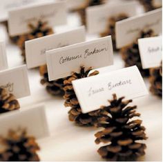 pine cones with place cards attached to them