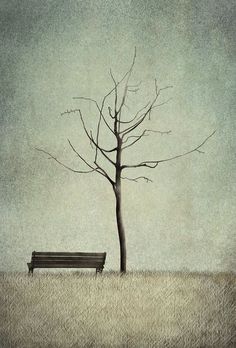 a bench sitting in the middle of a field next to a tree with no leaves