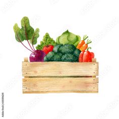 fresh vegetables in a wooden box painted with watercolors