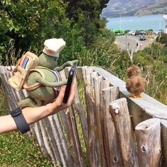 a person holding a stuffed animal over a wooden fence with a teddy bear on it