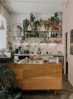 a kitchen filled with lots of potted plants next to a counter covered in food