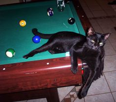 a black cat laying on top of a pool table