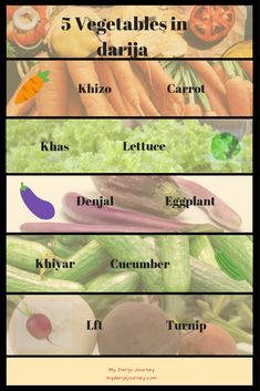 the five vegetables in daria are labeled with their names and description on each side