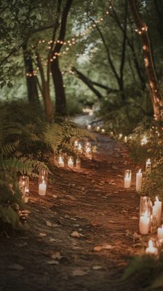 many lit candles are on the path in the woods