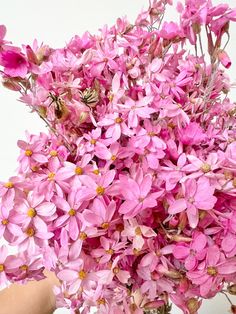 pink flowers in a vase being held by someone's hand over the top of it