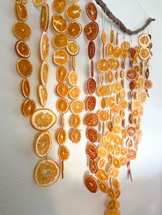 orange slices hanging from a string on the wall