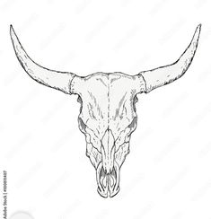 an animal skull with long horns on it's head, drawn in black and white