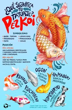 a poster with different types of fish on it