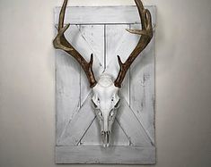 an animal's skull mounted to the side of a wooden door with antlers on it