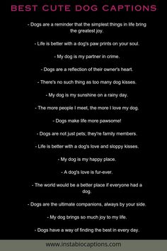 Looking for the perfect cute dog captions for your Instagram posts? We've got you covered! Explore our handpicked collection of the best dog captions that will melt hearts and make your followers go "aww." From adorable puppy moments to heartwarming doggy adventures, find the ideal caption to accompany your furry friend's photos. Get ready to unleash cuteness overload and create pawsitively amazing Instagram posts with our top dog captions! Dog Lover Captions, Paw Captions Instagram, Dog Lover Captions For Instagram, Dog Photo Captions Instagram, Songs To Post Your Dog To On Instagram, Caption For Dogs Instagram