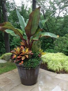 a large potted plant sitting on top of a stone floor next to a lush green forest