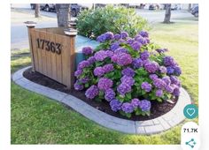 purple flowers are growing in the flower bed next to a mailbox